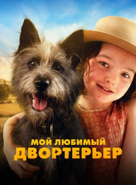 Мой любимый двортерьер